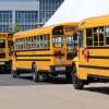 A row of school buses, like the one that a drunk bus driver had a rollover crash in.